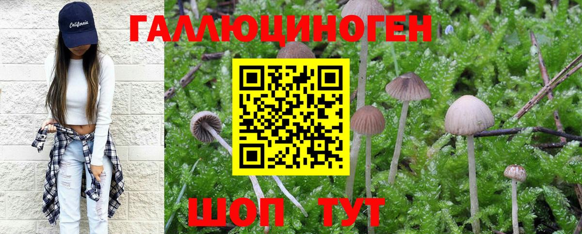 Усолье-Сибирское  Псилоцибиновые грибы мухоморы  Вход с VPN 